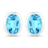 4.00 Carat Genuine Swiss Blue Topaz .925 Sterling Silver Earrings by Bids.com