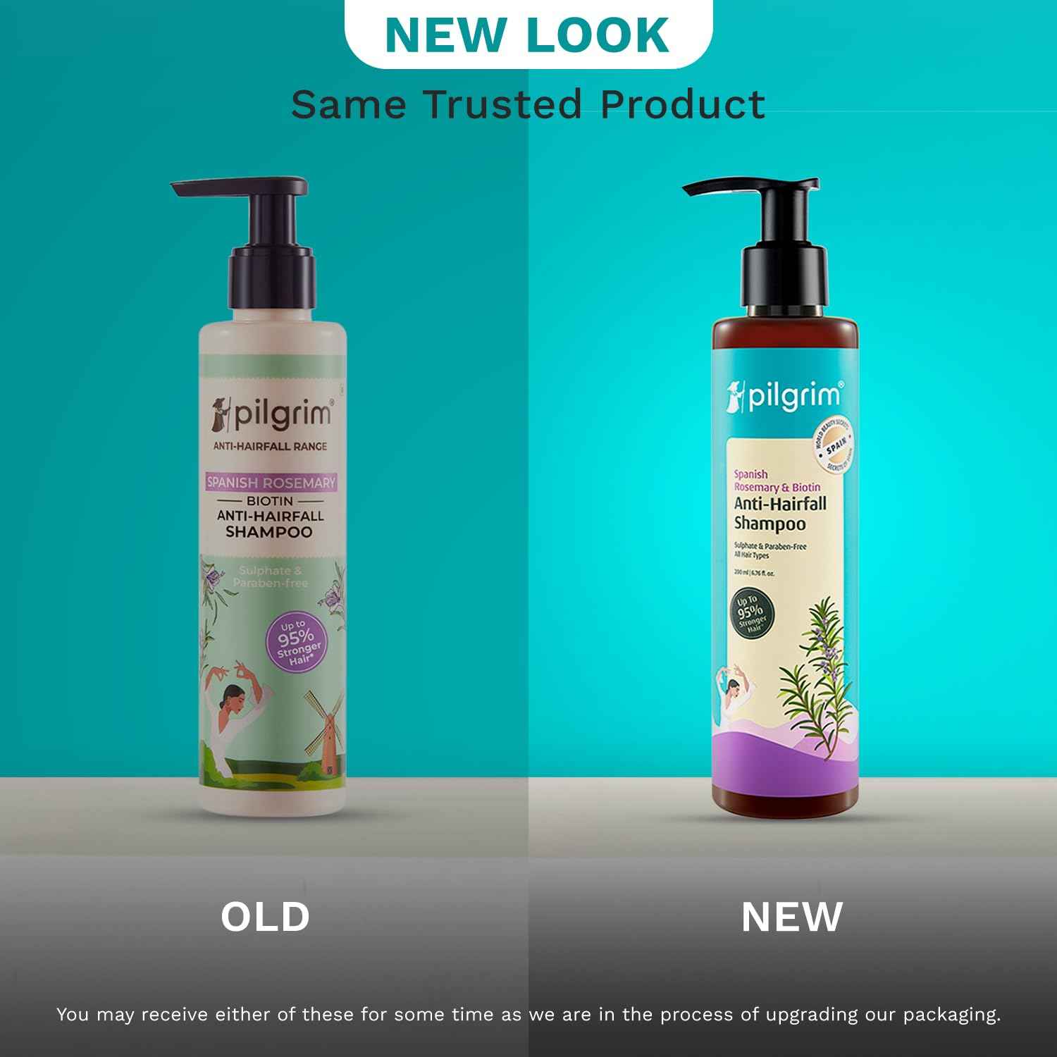 Pilgrim Spanish Rosemary Anti-Hairfall Shampoo (GTM)