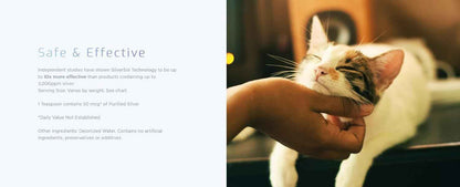 Pet Vet Immune Support