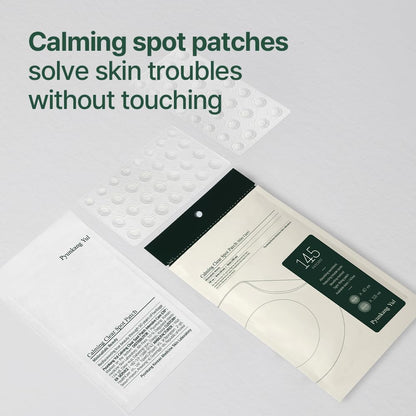 Pyunkang Yul Calming Clear Spot Patch  DestGlow