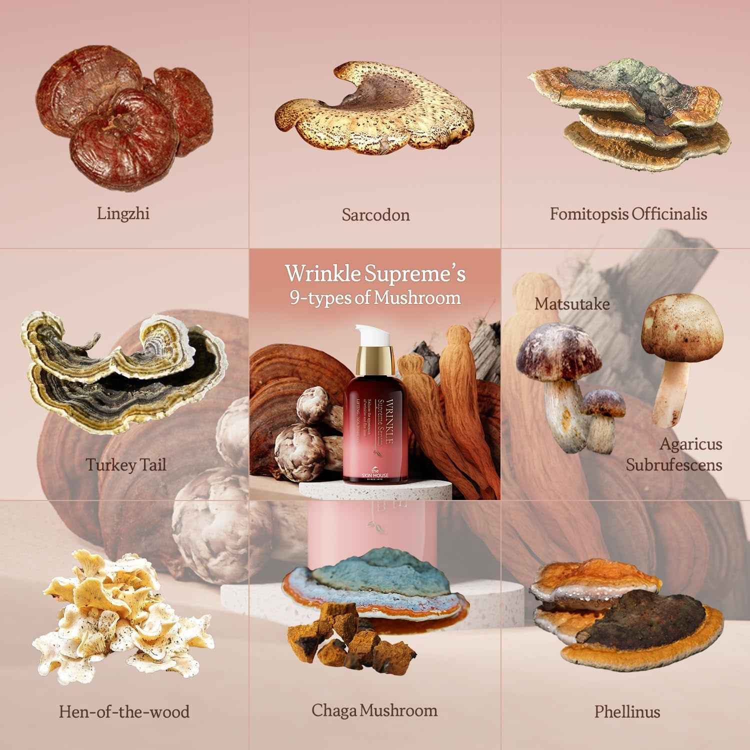 Wrinkle Supreme Serum 0.67 Fl. Oz. Trial-Size, Korean Red Ginseng, Mushrooms | Firming, Lifting, Fine Lines | Korean Skin Care, K-Beauty, 20Ml