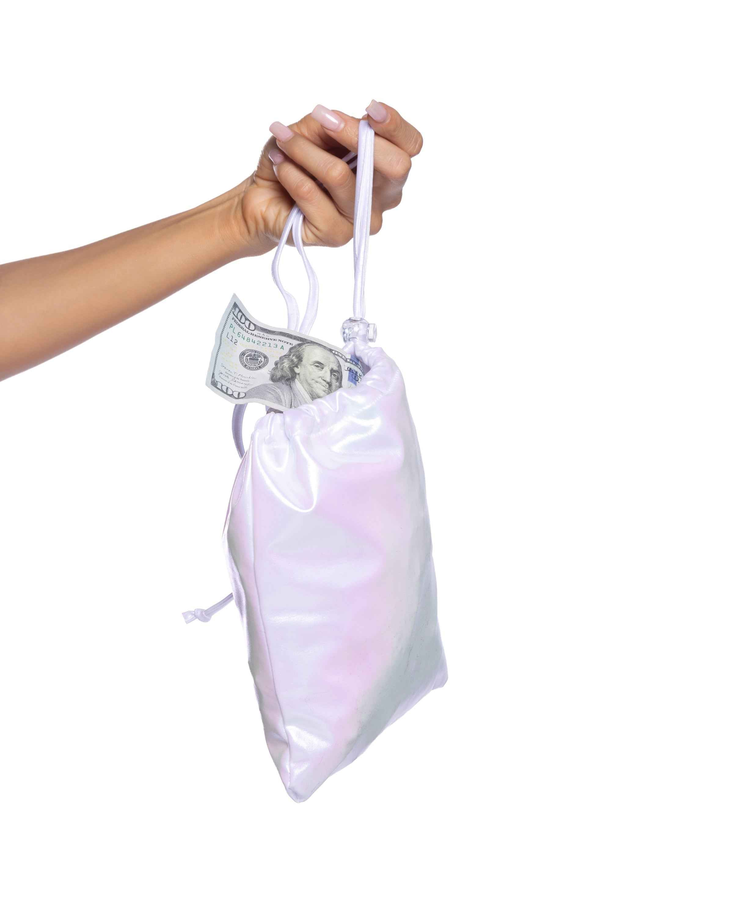 Metallic Iridescent Money Bag