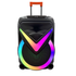 WGAOYANG 18" Portable Bluetooth Speaker WGY-1801AA (RGB Lights) by Farmacias Savia