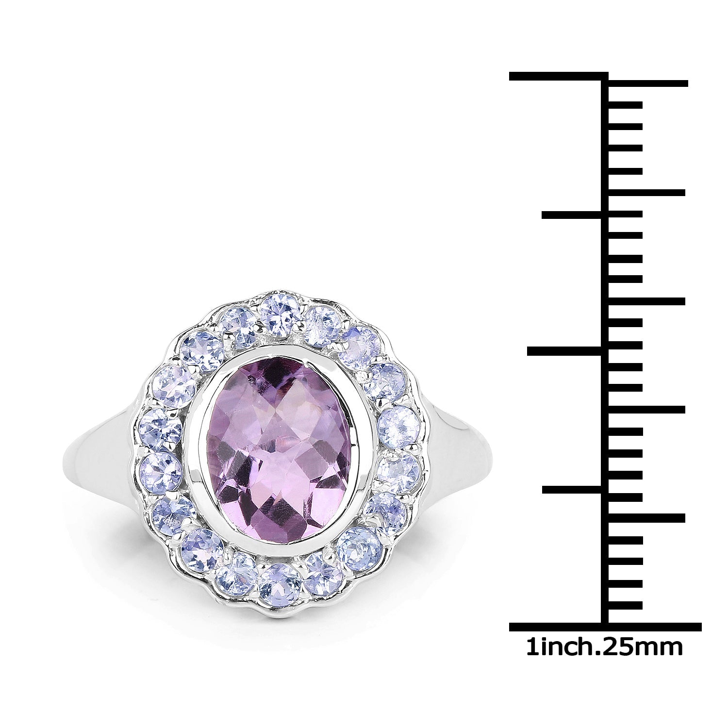 2.53 Carat Genuine Amethyst and Tanzanite .925 Sterling Silver Ring by Bids.com