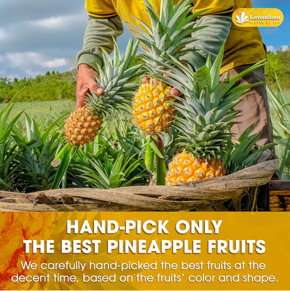 Dried Pineapple Slices 6oz – Premium Quality, Naturally Sweet &amp; Tangy by FreshDrinkUS - Natural and Premium Herbal Tea