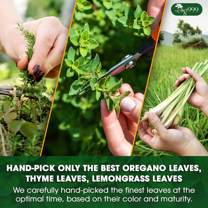 Premium Oregano Herbal Tea with Jasmine-Like Notes | Blend of Oregano, Thyme &amp; Lemongrass by FreshDrinkUS - Natural and Premium Herbal Tea