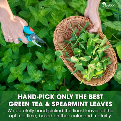 Premium Moroccan Mint Green Tea | Traditional Green Tea with Spearmint – Premium Quality Herbal Blend. by FreshDrinkUS - Natural and Premium Herbal Tea