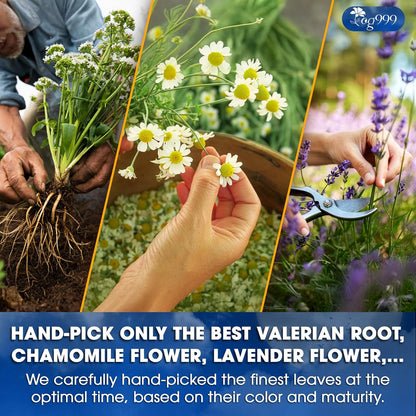 Premium Valerian Tea, Improve Digestion, Support Brain, Weight, Skin and Sleep by FreshDrinkUS - Natural and Premium Herbal Tea