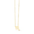 14K Yellow Gold Scorpio Necklace by Bids.com