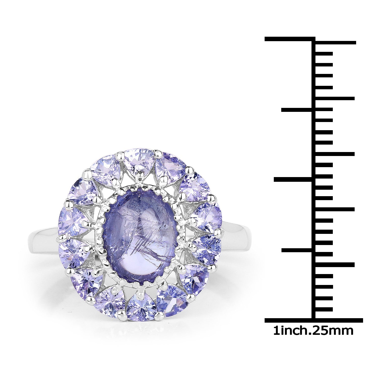 3.85 Carat Genuine Tanzanite .925 Sterling Silver Ring by Bids.com