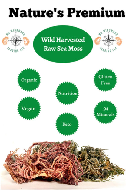 Pure Certified Wild Harvested Organic Purple Raw Sea Moss by Seamoss Global