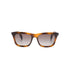 Gucci Brown Sunglasses Men by Luosophy