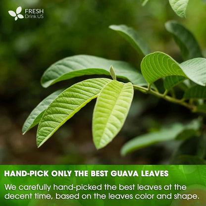 Natural Guava Leaves, Whole Dried Leaves, Cut-and-Sifted Guava leaves, 100% Pure from Guava Leaves, Natural Guava Loose Leaf Herbal Tea, No Additives, No Caffeine, Vegan