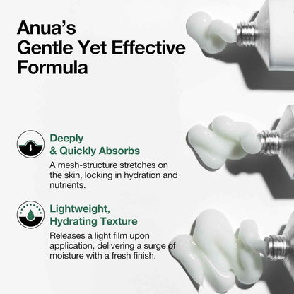 ANUA Heartleaf Centella Red Spot Cream