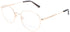 Pierre Cardin Pc 6877 Eyeglasses by ModaFrames