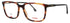 Carrera 254 Eyeglasses by ModaFrames