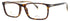 David Beckham 1019 Eyeglasses by ModaFrames