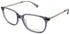 Kate Spade Natalia Eyeglasses by ModaFrames