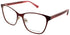 Kate Spade Seline Eyeglasses by ModaFrames