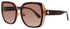 Kate Spade Kimber/G/S Sunglasses by ModaFrames