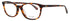 Kate Spade Haisley/F Eyeglasses by ModaFrames
