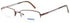 Denim Denim 136 Eyeglasses by ModaFrames