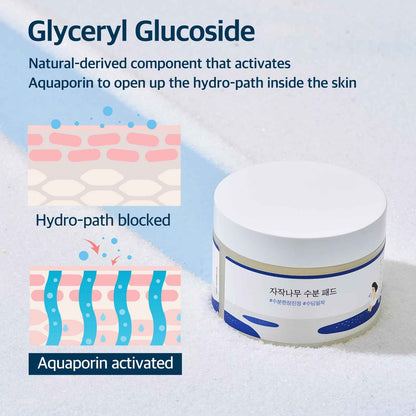 Round Lab Birch Juice Moisturizing Pad