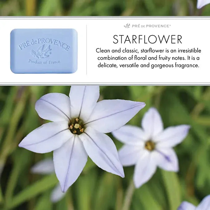 Pre De Provence Starflower Shea Butter Enriched Vegetable Soap 150g by Pasteur Pharmacy