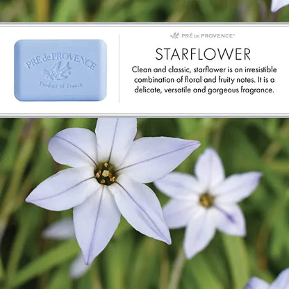 Pre De Provence Starflower Shea Butter Enriched Vegetable Soap 150g by Pasteur Pharmacy