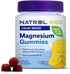 Natrol Kids Calm/Mood Magnesium Gummies – Razzilicious – 30 Count by Top Vita Shop