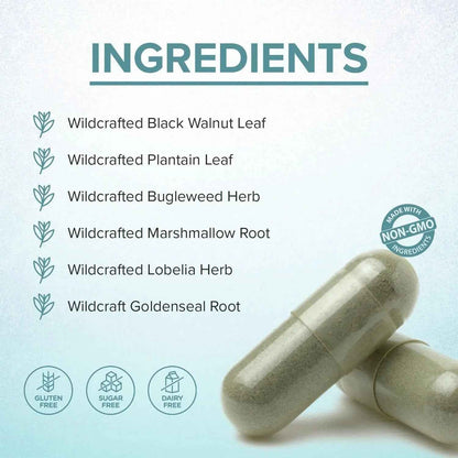 LYMPHX – Advanced Natural Defense &amp; Total Body Wellness