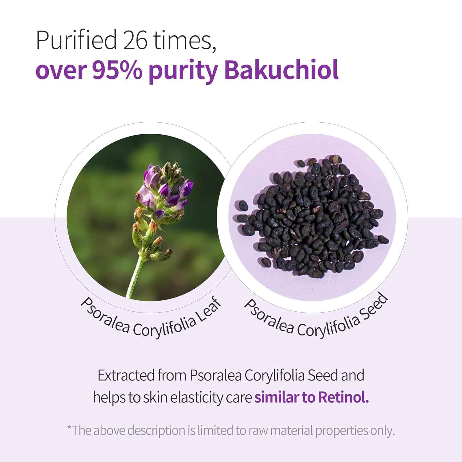 Benton Bakuchiol Serum