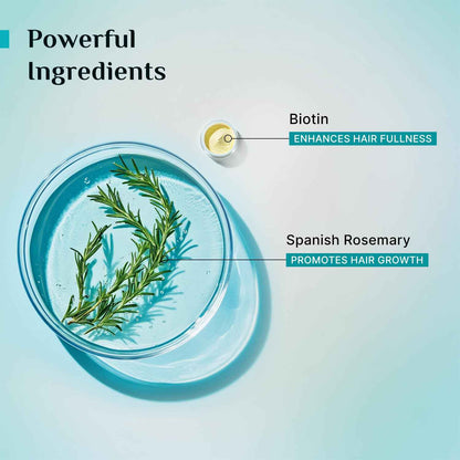 Pilgrim Spanish Rosemary Anti-Hairfall Shampoo (GTM)