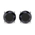 4.25 Carat Genuine Black Diamond 14K White Gold Earrings by Bids.com