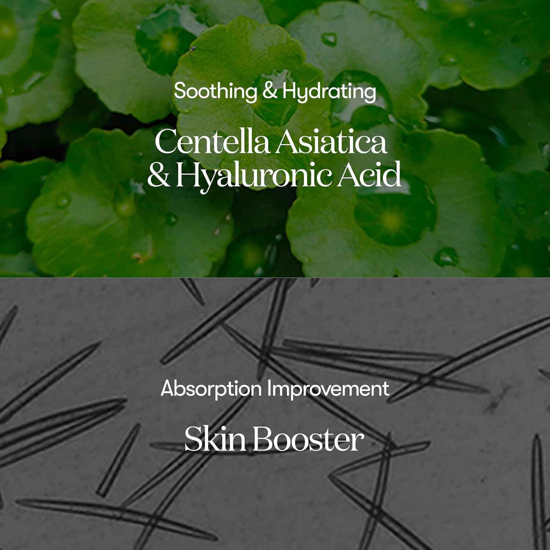 VT Reedle Shot 300 Essence