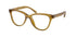 Coach 6202f Eyeglasses by ModaFrames