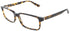 Pierre Cardin Pc 6162 Eyeglasses by ModaFrames