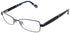 Ted Baker B228 Eyeglasses by ModaFrames