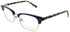 Ted Baker Tpw005 Eyeglasses by ModaFrames