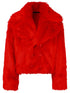 Dsquared2 &