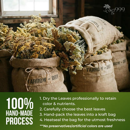 Premium Yarrow Tea Leaves | Naturally Aromatic, Freshly Packed Loose Leaf Yarrow by FreshDrinkUS - Natural and Premium Herbal Tea