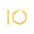 14k Yellow Gold Shiny Hexagon Hoop Earrings  DestGlow