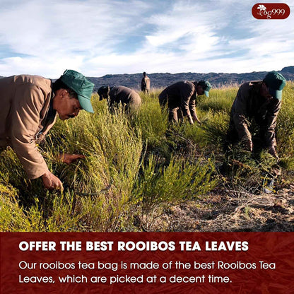 Premium Red Rooibos Tea Bags, 100% Natural &amp; Pure from Rooibos Tea Leaves. Loose Leaf Rooibos Herbal Tea. Made with Natural Material Tea Bags. No Sugar, No Caffeine, No Gluten, Vegan.