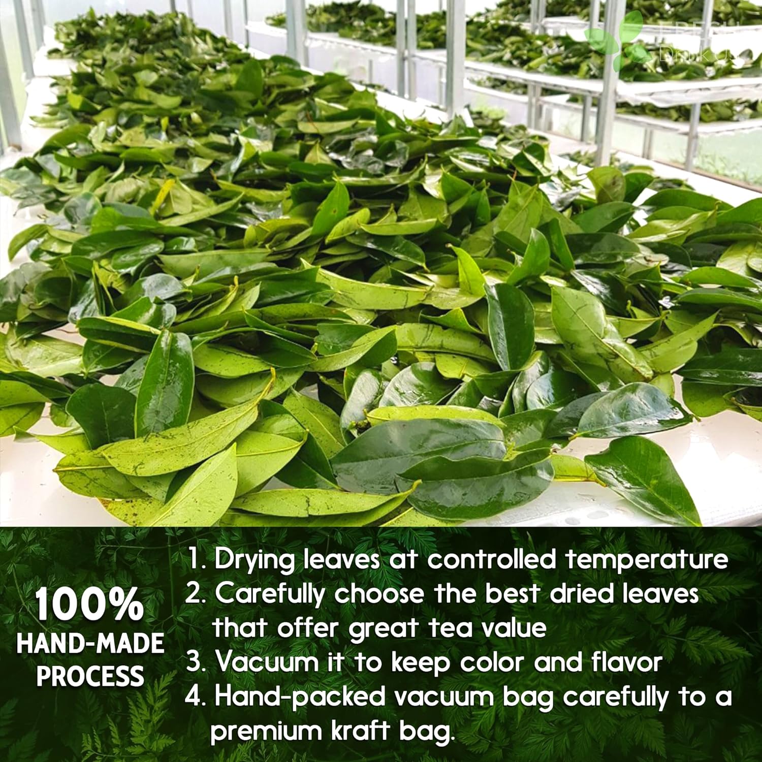 40 Premium Soursop Graviola Leaf Tea Bags, 100% Natural and Pure from Soursop Leaves, Handmade, Made With Natural Materials-Corn Fiber Tea Bag, Sugar/Caffeine/Gluten Free, Hoja Guanabana Tea by FreshDrinkUS - Natural and Premium Herbal Tea