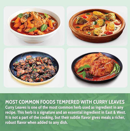 Premium Curry Leaves, Whole Dried Leaves, 100% Natural, Pure Curry Leaves, Hand-made, Wildcrafted, Indian Spice for Cooking, Curry Leaf Dried, No Additives, No Gluten, Vegan