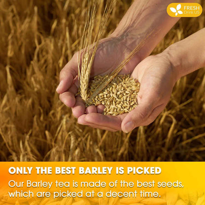 Premium Barley Tea Bags, 100% Natural &amp; Pure from Barley. Loose Barey Herbal Tea. No Sugar, No Caffeine, No Gluten, Vegan.