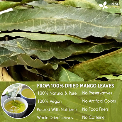 Mango Leaf, Whole Dried Leaves, Tea Bags, Powder, 100% Natural &amp; Pure from Mango Leaves. Mango Dried Leaves. Loose Leaf Mango Herbal Tea. Mango Leaf Tea. No Sugar, No Caffeine, No Gluten, Vegan. by FreshDrinkUS - Natural and Premium Herbal Tea