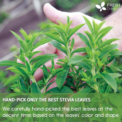 Stevia Leaf, Whole Dried Leaves, Tea Bags, Powder, 100% Natural and Pure from Stevia Leaves. Sugar Substitute for Tea, Coffee. Loose Leaf Stevia Herbal Tea. Zero Calorie Sweetener. No Sugar, No Caffeine, No Gluten, Vegan. by FreshDrinkUS - Natural and Premium Herbal Tea