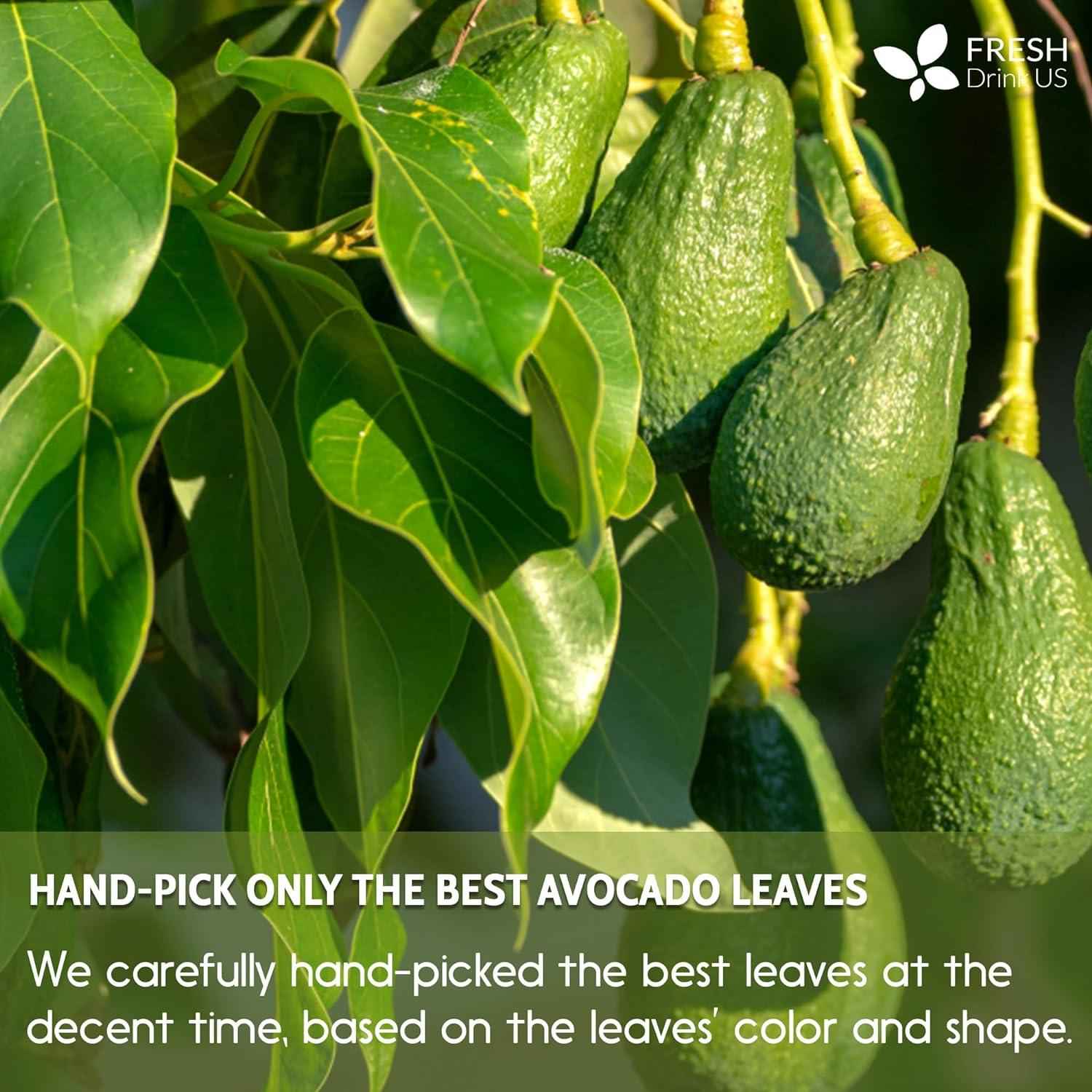 Natural Avocado Whole Leaves Dried, Tea Bags, 100% Pure from Avocado Leaves, Avocado Leaf Tea, Hojas de Aguacate Seca, No Additives, No Caffeine, Vegan