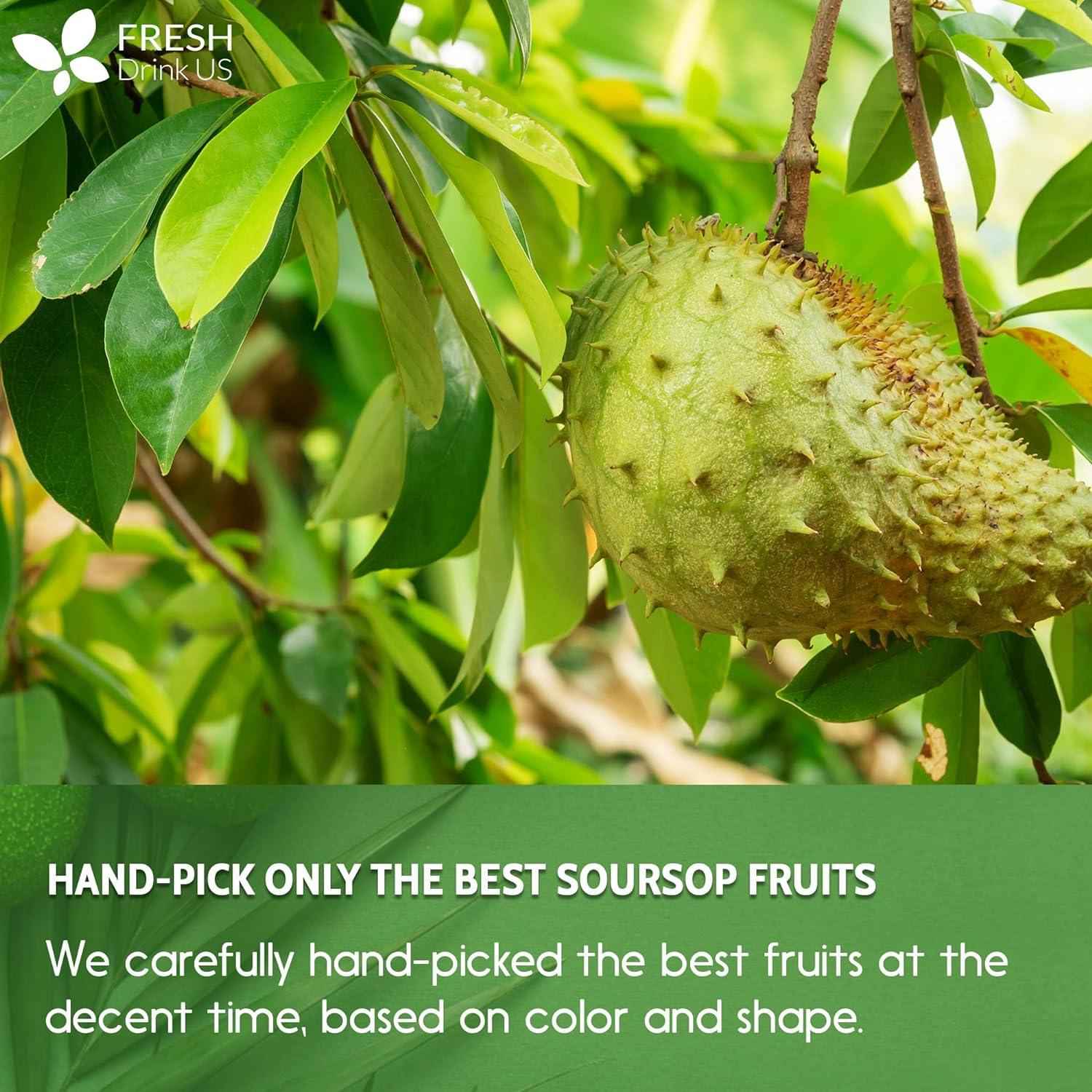 Premium Soursop Graviola Fruit Tea Bags, Tea Powder, 100% Natural and Pure from Soursop Fruits, Handmade, Made With Natural Materials-Corn Fiber Tea Bag, Sugar/Caffeine/Gluten Free, Hoja Guanabana Tea